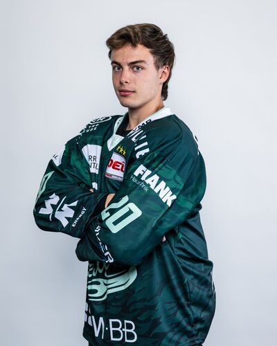 Max Ziergiebel