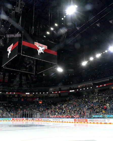 Steelers unterliegen den Kölner Haien mit 3:7