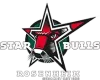Starbulls Rosenheim