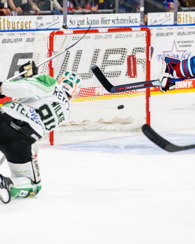 Guter Auftritt wird nicht belohnt - Steelers unterliegen Mannheim mit 2:4