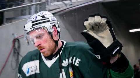 08.12.2024 - Impressionen - Bietigheim Steelers vs. EHF Passau Black Hawks