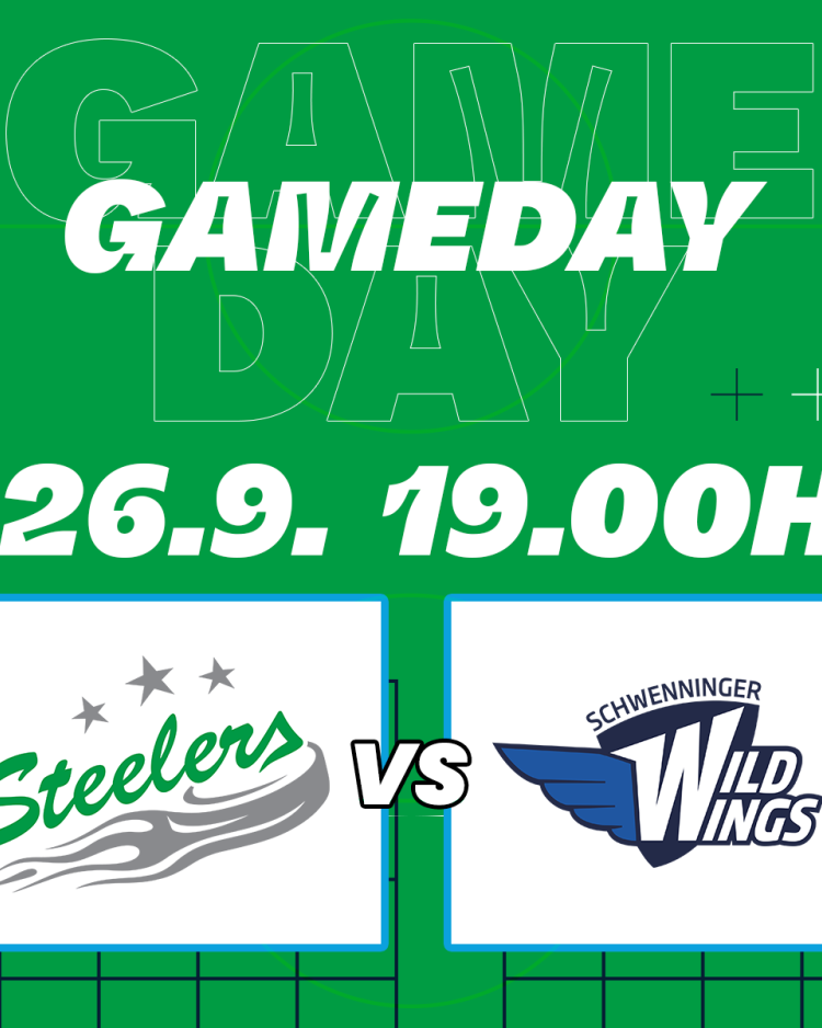 Remember 30.04.2013 – am Sonntag kommen die Wild Wings
