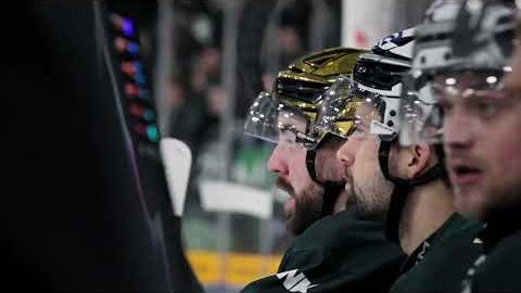 15.02.2026 - Impressionen - Bietigheim Steelers vs. Eisbären Regensburg