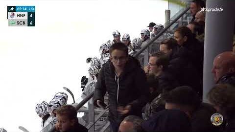 15.11.2024 - Highlights - Heilbronner Falken vs. Bietigheim Steelers