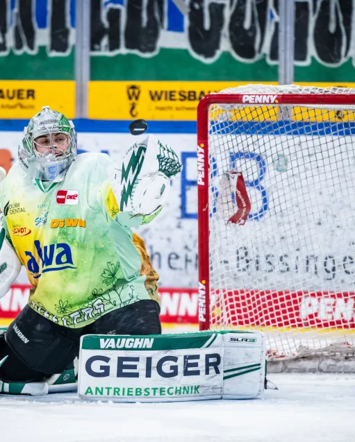 Frühlingstrikots - aktuellen Gebote 16.02.2023