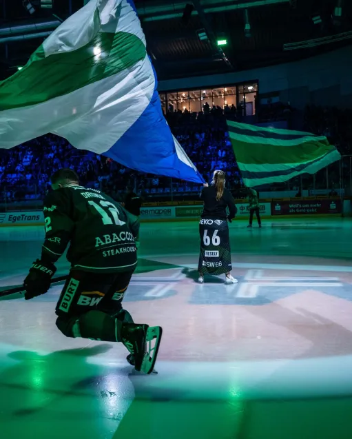 Steelers in neuem Licht