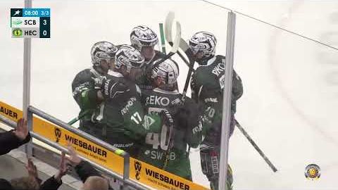 17.11.2024 - Highlights - Bietigheim Steelers vs. Höchstadter EC