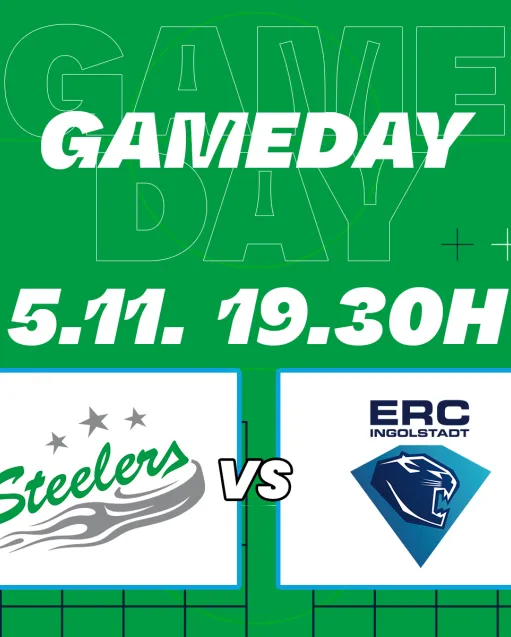 Gameday – die Ingolstadt Panther kommen ins Ellental