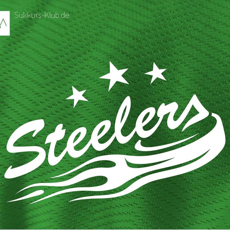 SteelCast