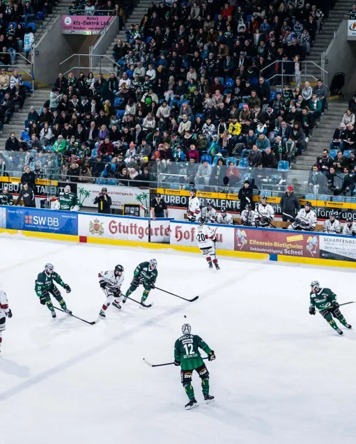 Steelers live auf Sportdeutschland.TV
