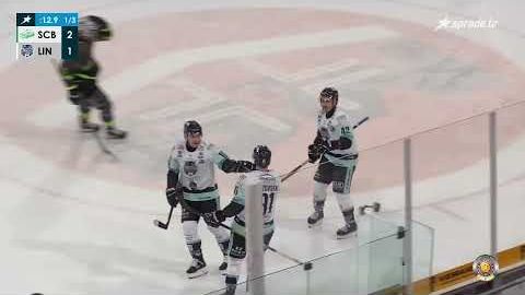 24.11.2024 - Highlights - Bietigheim Steelers vs. EV Lindau Islanders