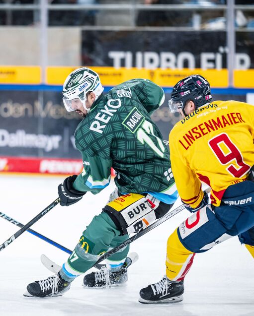 Steelers gastieren zum Testspiel in Freiburg