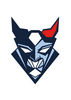 Blue Devils Weiden