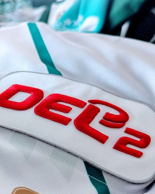 Steelers reichen Lizenzunterlagen für DEL2 ein